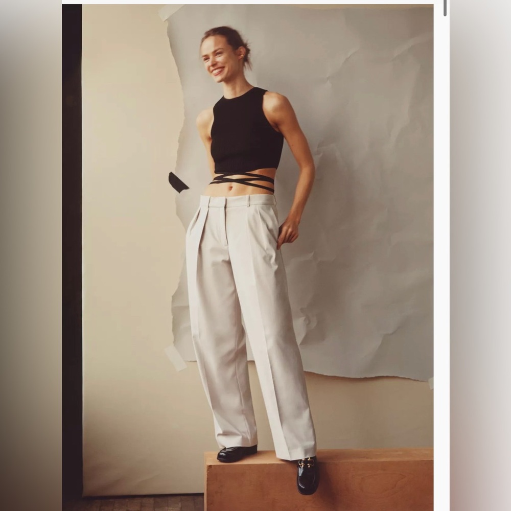 NWT Aritzia Babaton Revue Pant Pleated wide-leg pants in Matte Pearl Size 6